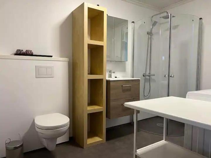 Lekkert Gjestehus Med Gratis Parkering Pa Stedet. Levanger Exterior photo